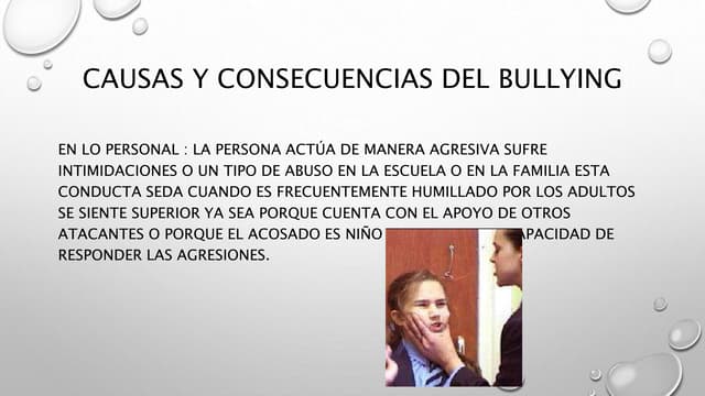 Causas Del Bullying