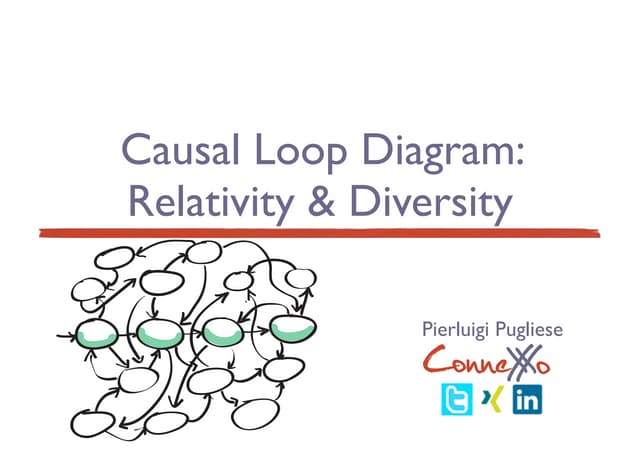 Cause Effect Relativity & Diversity