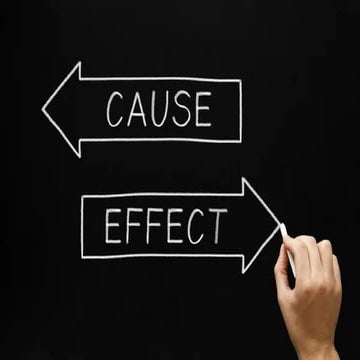 CAUSE AND EFFECT ESSAY NOTES FOR ALL LEVELS | PPTX