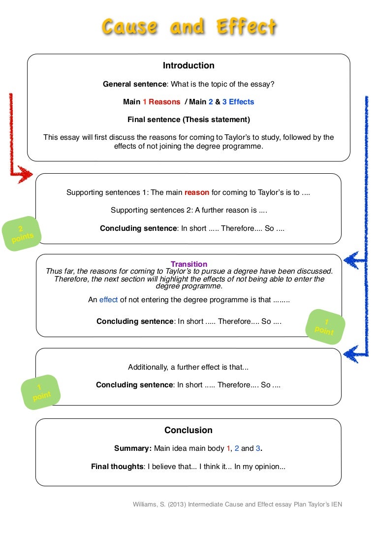 Cause and effect essay examples image