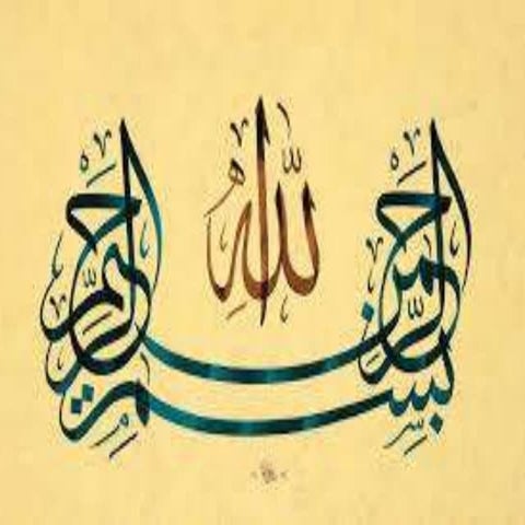 Causes and stages of conflict