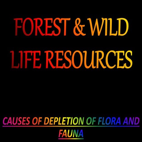 Forest And Wildlife Resources