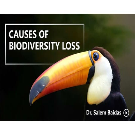 Causes of Biodiversity Loss     