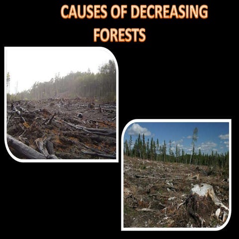 Causes of deforestation