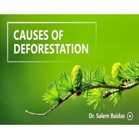 Causes of Deforestation     