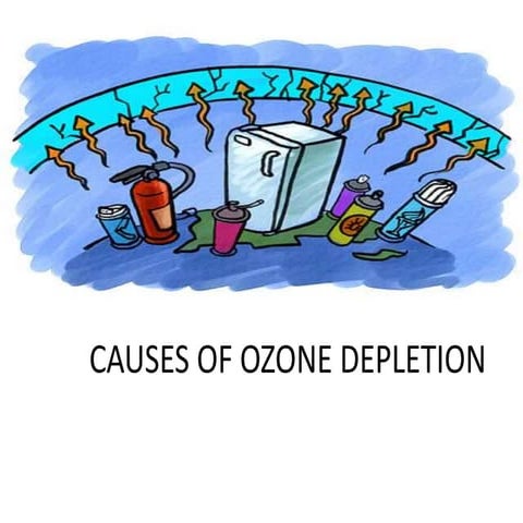 Causes Of Ozone Depletion The Ozone Hole Shrank, Showing The World Can