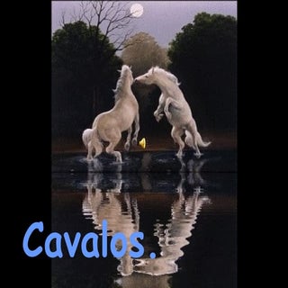 Cavalos...