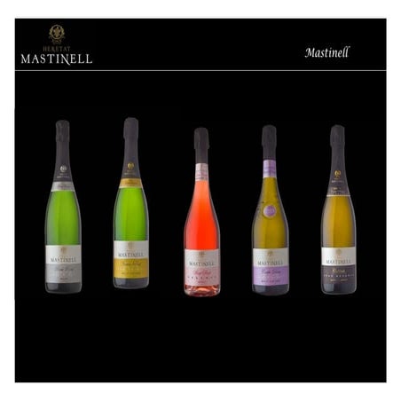 Cavas y vinos Heretat Mastinell
