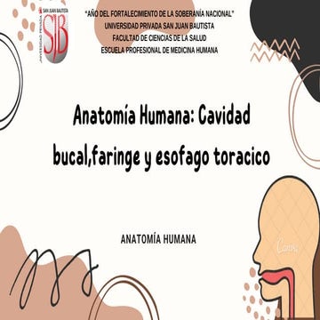 Cavidad Bucal Anatomia Humana Resume Organizado Ppt