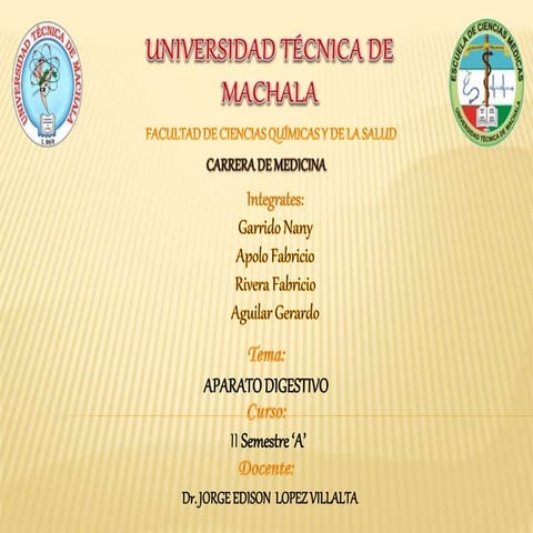 Cavidad bucal histologia