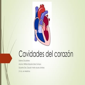 Cavidades del corazón