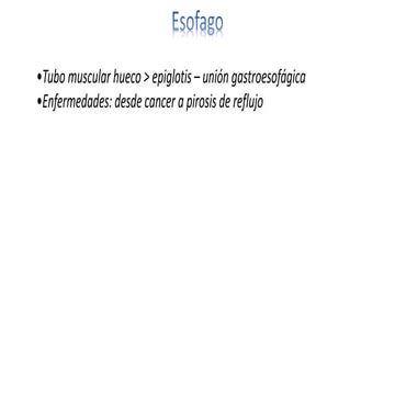 Patología general - Cavidad oral y tubo digestivo