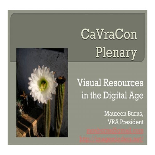 CaVraCon plenary 2011