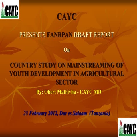 South Africa fanrpan presentation   draft report on youth case study feb 2012