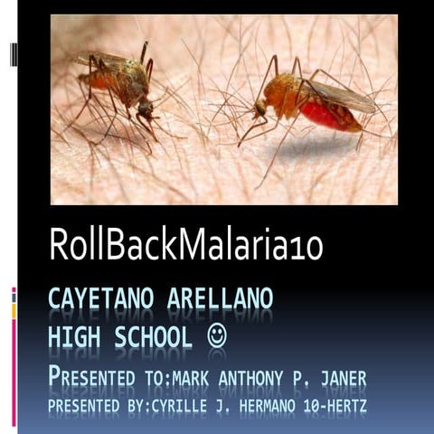 Roll Back Malaria (RBM)