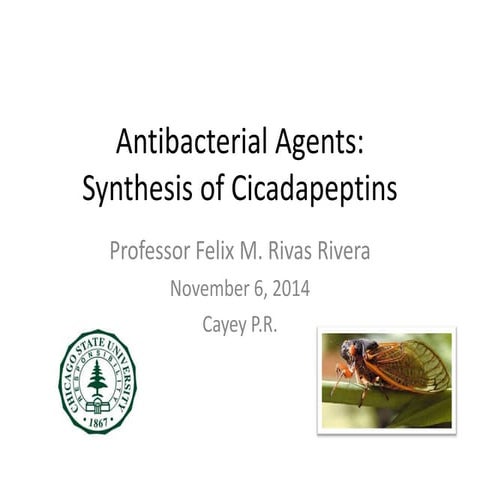 Cayey november 6 2014