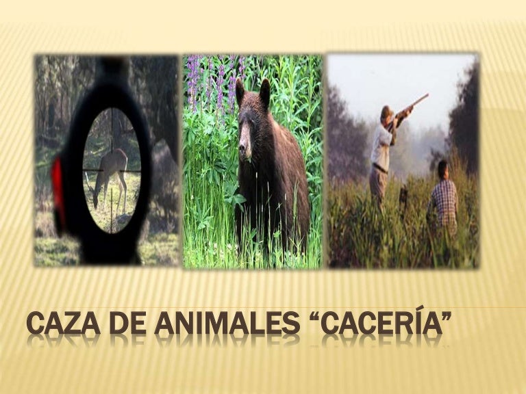 Caza de animales