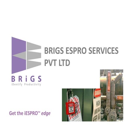 BRIGS Integrated Services- Overview