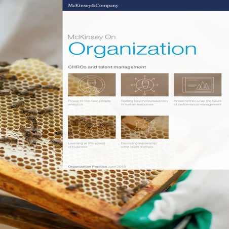McKinsey on Organization CHROs and talent management