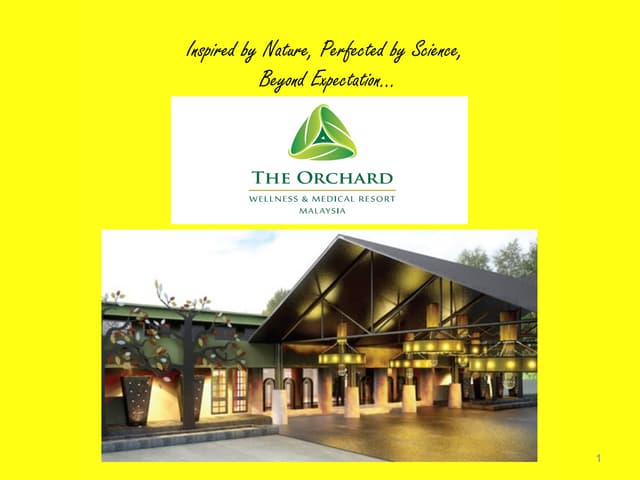 orchard, presentation