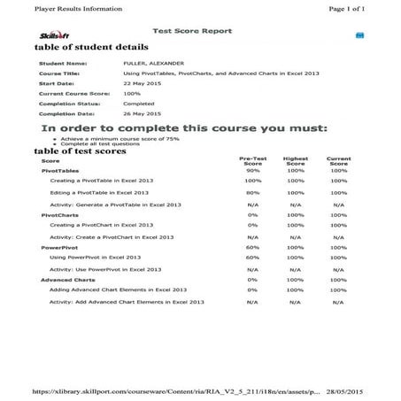 Using PivotTables, PivotCharts & Advanced Charts in Excel 2013