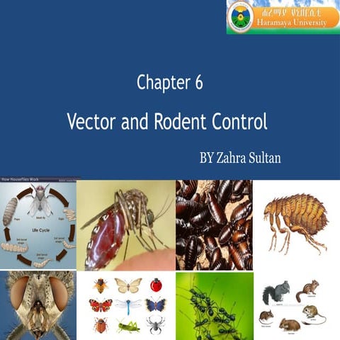 Vector_and_rodent_control_Cha_6.pptxrghgvv