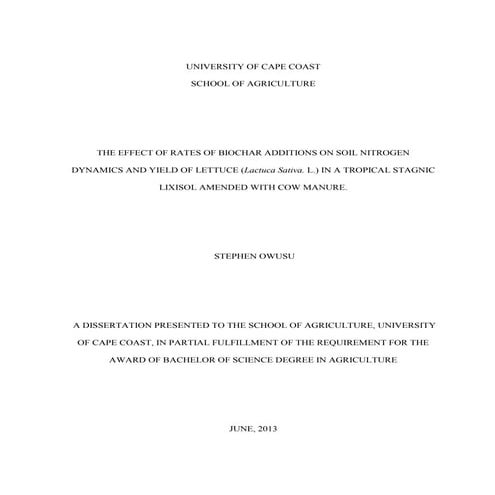 BSc Dissertation