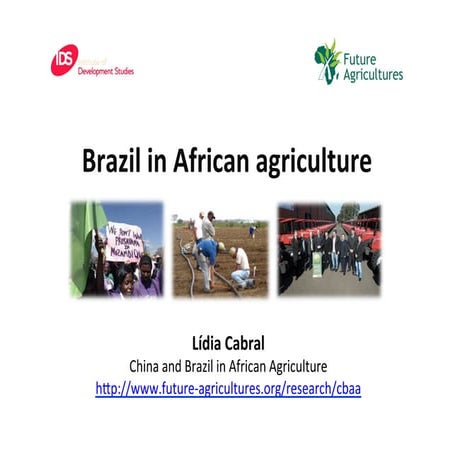 Brazil in African agriculture - Lídia Cabral