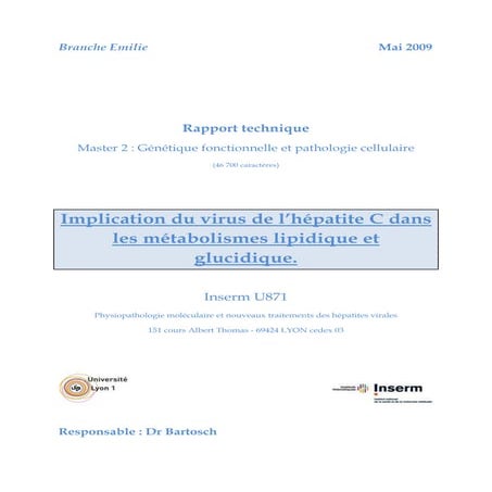 Branche-technical report 1