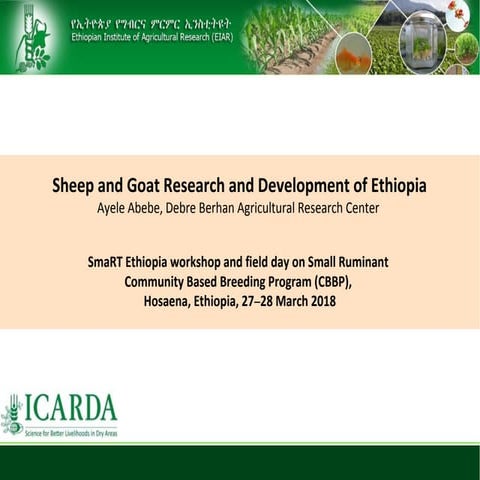 Sheep and goat research and development of Ethiopia