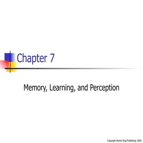 Memory, Learning & Perception