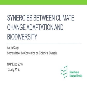 Synergies between climate change adaptation and biodiversity | PDF