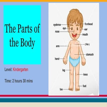 Lesson plan-in-science- (PARTS OF THE BODY) | DOCX