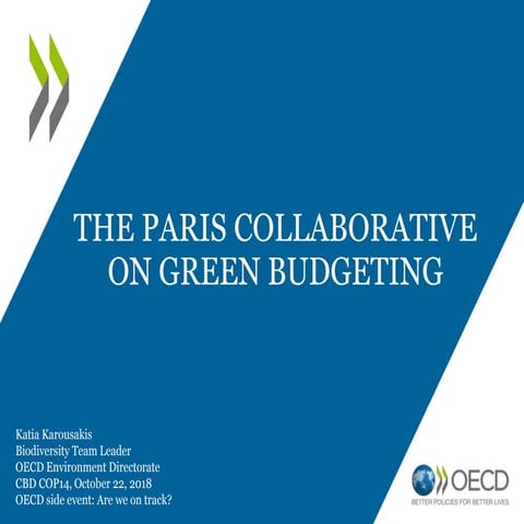 The Paris Collaborative on Green Budgeting - Katia Karousakis