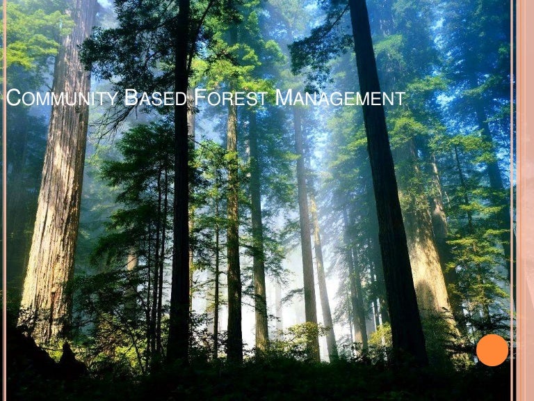 Communnity Based Forest Management
