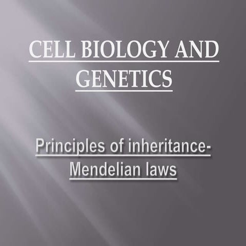 PRINCIPLES OF INHERETANCE- MENDELIAN LAWS