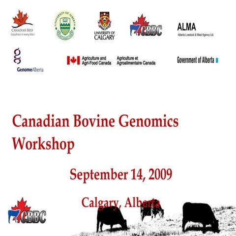 CBGW Julie Stitt Panel