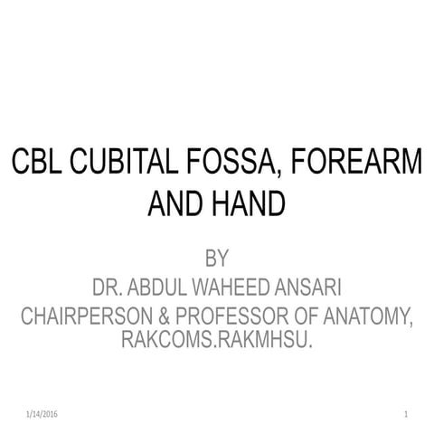 Cbl cubital fossa, forearm and hand