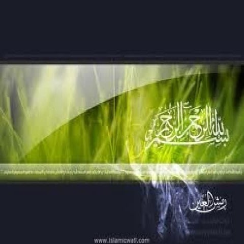 social class of suzuki