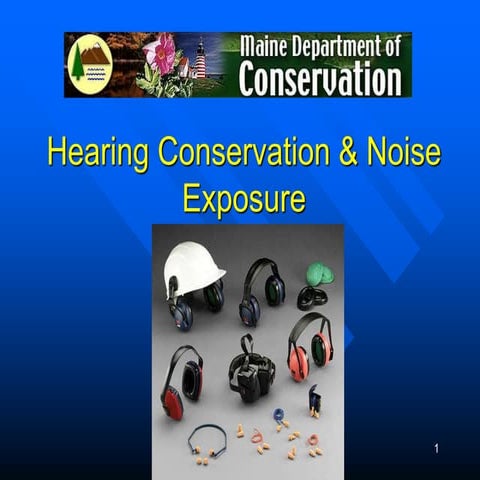 CBS3 Noise Pollution and Industry Pollutions