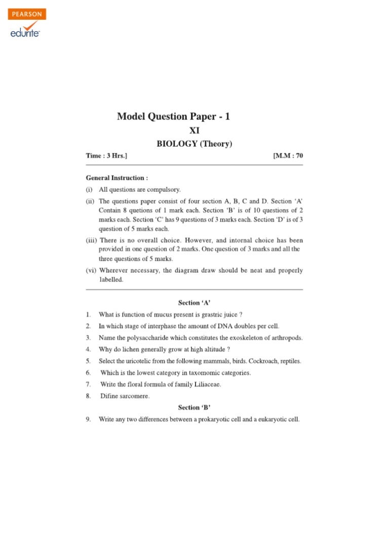 Essay writing in english image