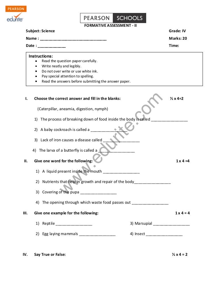 At the carnival paragraph image