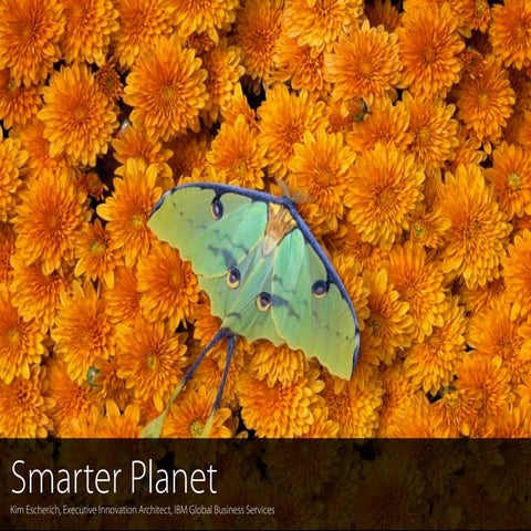 Smarter Planet & Innovation