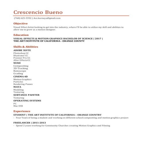 Motion Graphics animator & Visual Effects resume (1) | DOCX