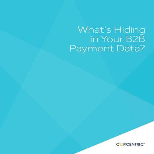 What's Hiding in Your B2B Payment Data?