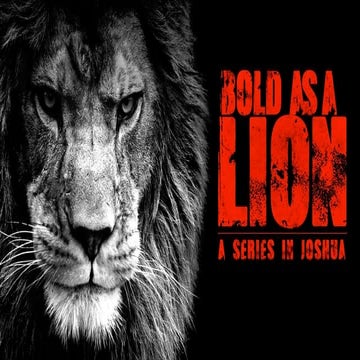 Bold As A Lion: Be Strong and Courageous