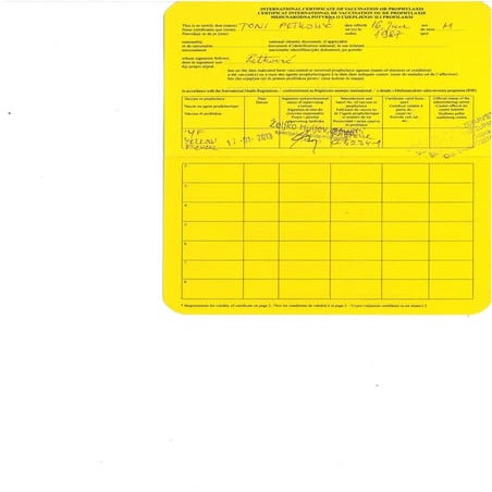 yellowfever | PDF