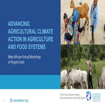Advancing agricultural climate action in agriculture and food systems