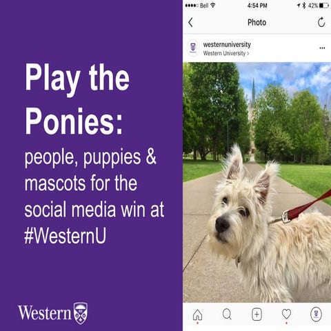 Play the ponies: People, puppies & mascots for the Social Media win at #WesternU