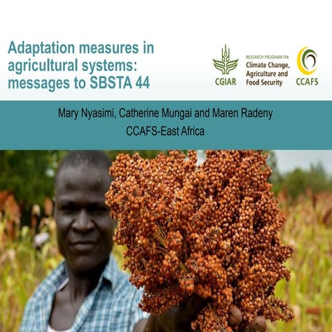 Adaptation measures in agricultural systems: Messages to SBSTA 44